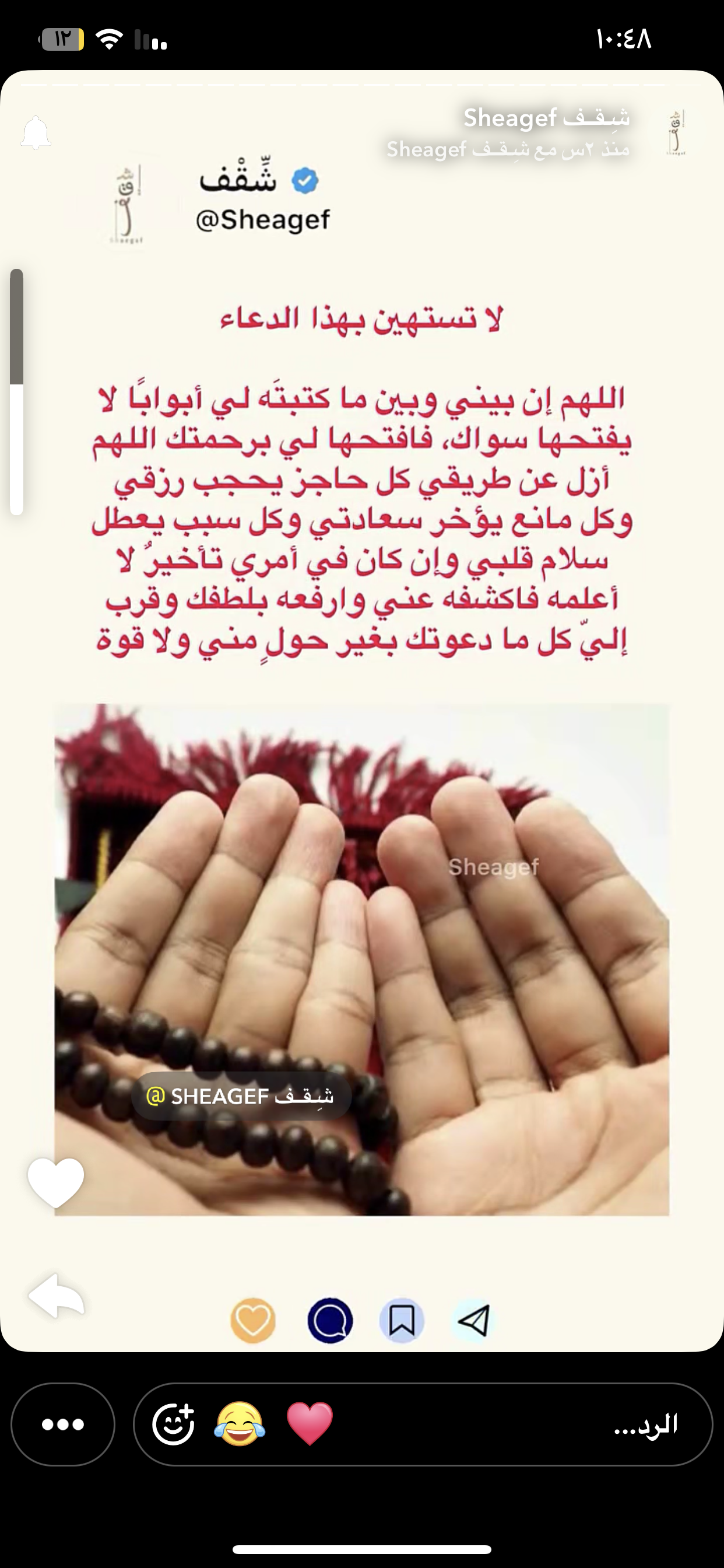 ام نايف