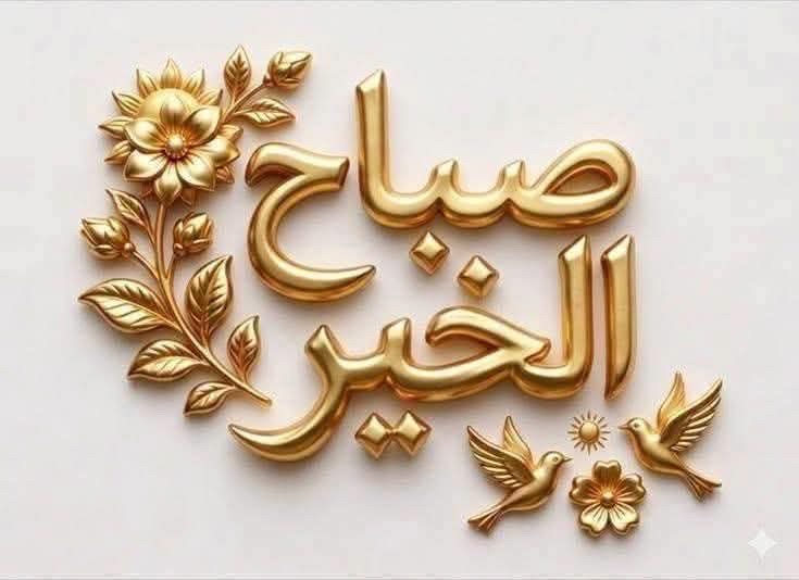 saif Alaa