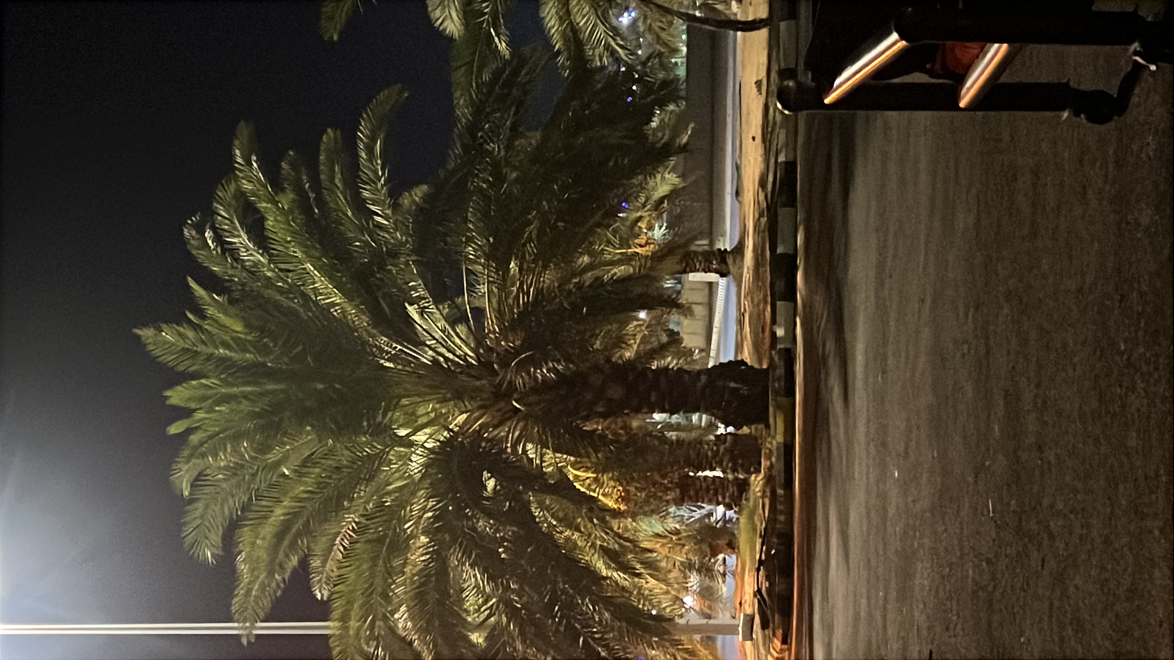 Hamad6357