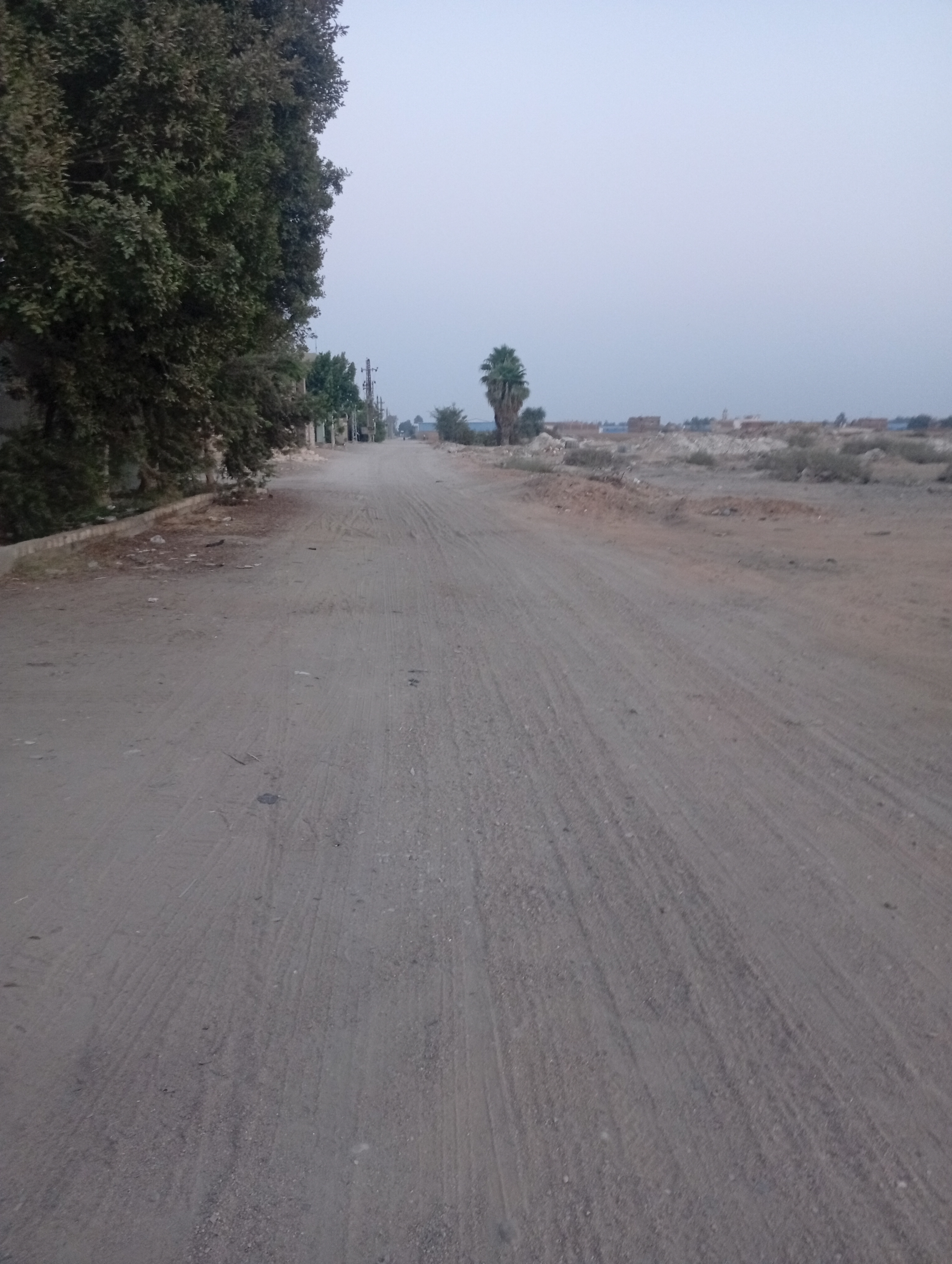 احمد