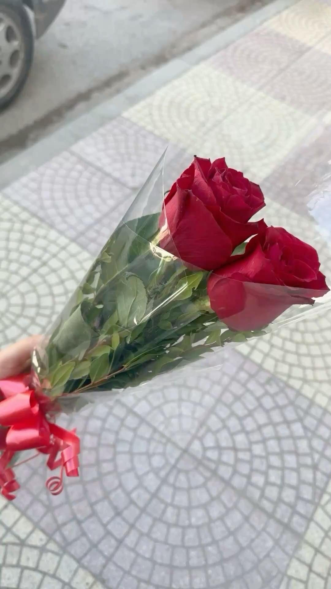 نوها